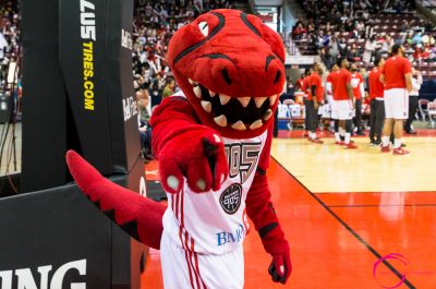 42c.Raptors 905 Mascot - photo credit Adam Pulicicchio
