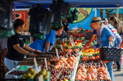Mississauga, On - August 5: The Port Credit Farmers Market features local, sustainable produce, unique artisan products, and some treats for the entire family, including the pups! Enjoy a great selection of fresh produce, cheese, eggs, baked goods, food and beverages, artisanal fare, and live music on August 5th, 2023 at Downtown Port Credit in Mississauga, Ontario, Canada (Photo by Adam Pulicicchio Photography)