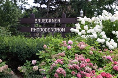 Brueckner1