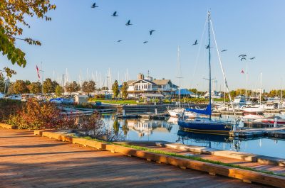 Lakeview-Birds-Web-Version