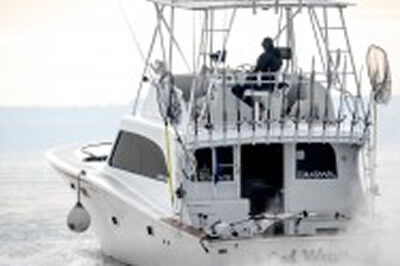 MobyNick-001_7c4c29e3859f3a480c67c48200c2354e